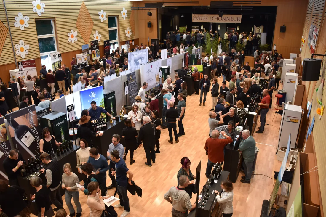 Le public de Festivins réuni autour des stands de vignerons.