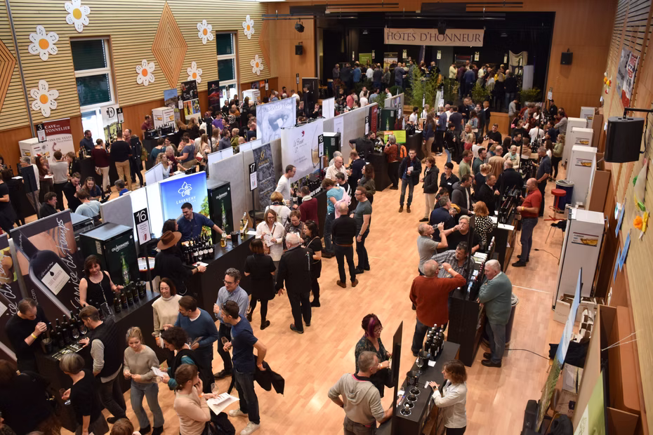 Vue plongeante sur les stands et les visiteurs de Festivins.